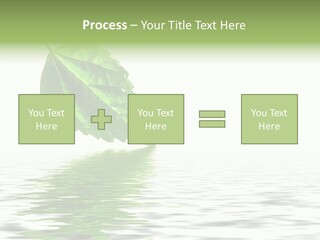 Season Green Freshness PowerPoint Template