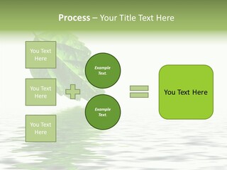 Season Green Freshness PowerPoint Template