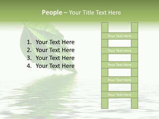Season Green Freshness PowerPoint Template