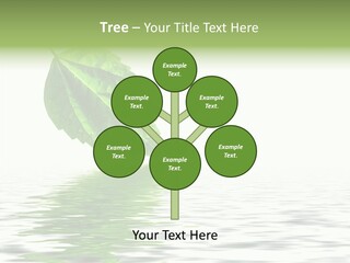 Season Green Freshness PowerPoint Template