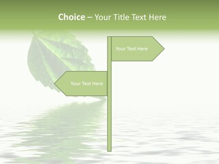 Season Green Freshness PowerPoint Template