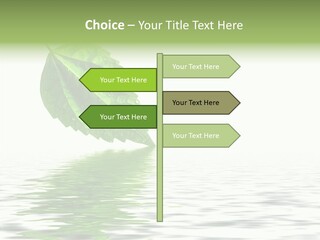 Season Green Freshness PowerPoint Template