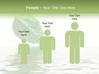 Season Green Freshness PowerPoint Template