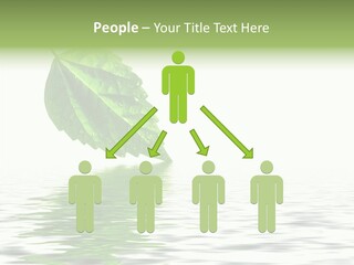 Season Green Freshness PowerPoint Template
