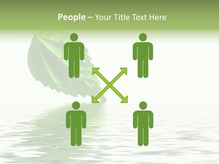 Season Green Freshness PowerPoint Template