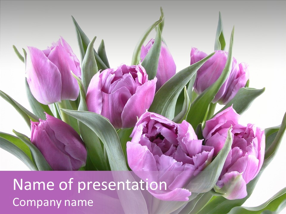 Bloom Beauty Summer PowerPoint Template