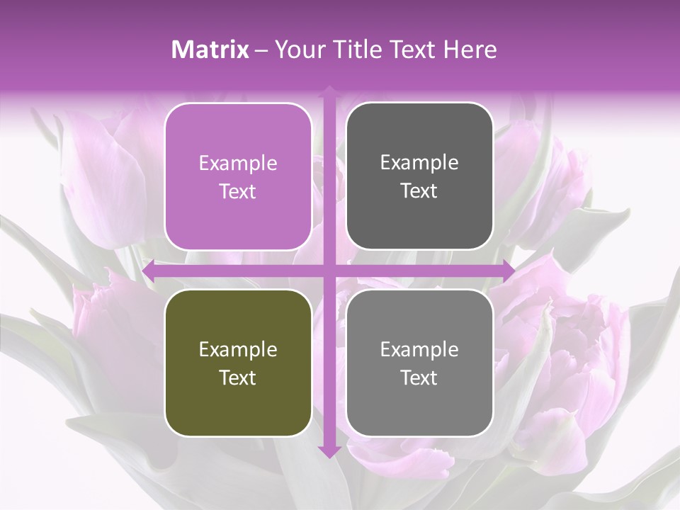 Bloom Beauty Summer PowerPoint Template