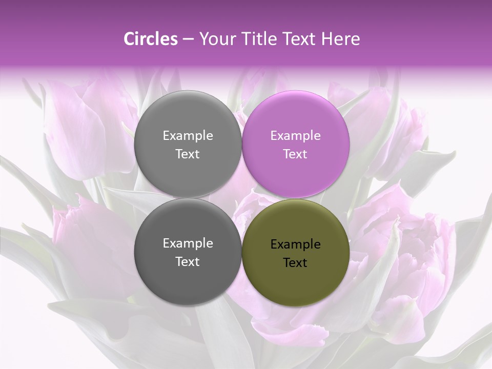 Bloom Beauty Summer PowerPoint Template