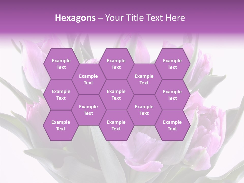 Bloom Beauty Summer PowerPoint Template