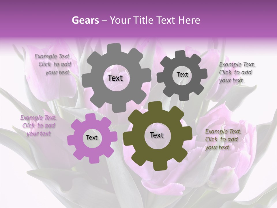 Bloom Beauty Summer PowerPoint Template