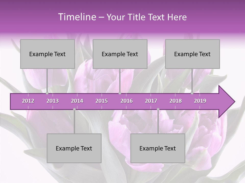 Bloom Beauty Summer PowerPoint Template