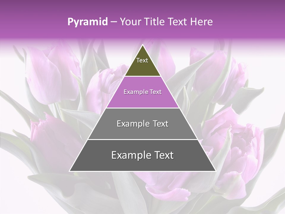 Bloom Beauty Summer PowerPoint Template