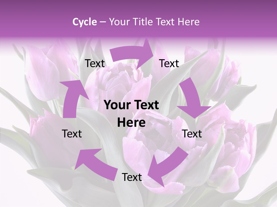 Bloom Beauty Summer PowerPoint Template