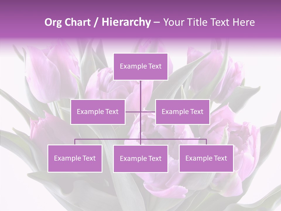 Bloom Beauty Summer PowerPoint Template