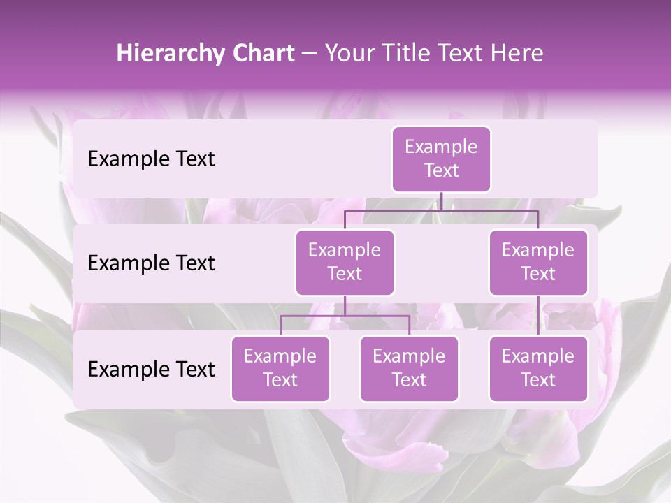 Bloom Beauty Summer PowerPoint Template