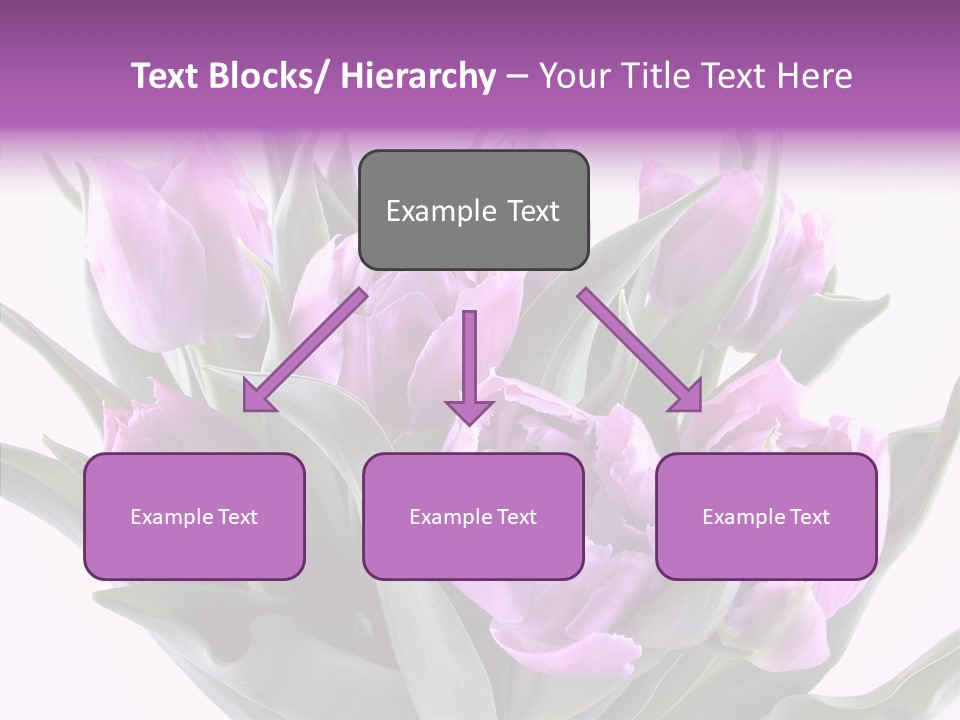 Bloom Beauty Summer PowerPoint Template