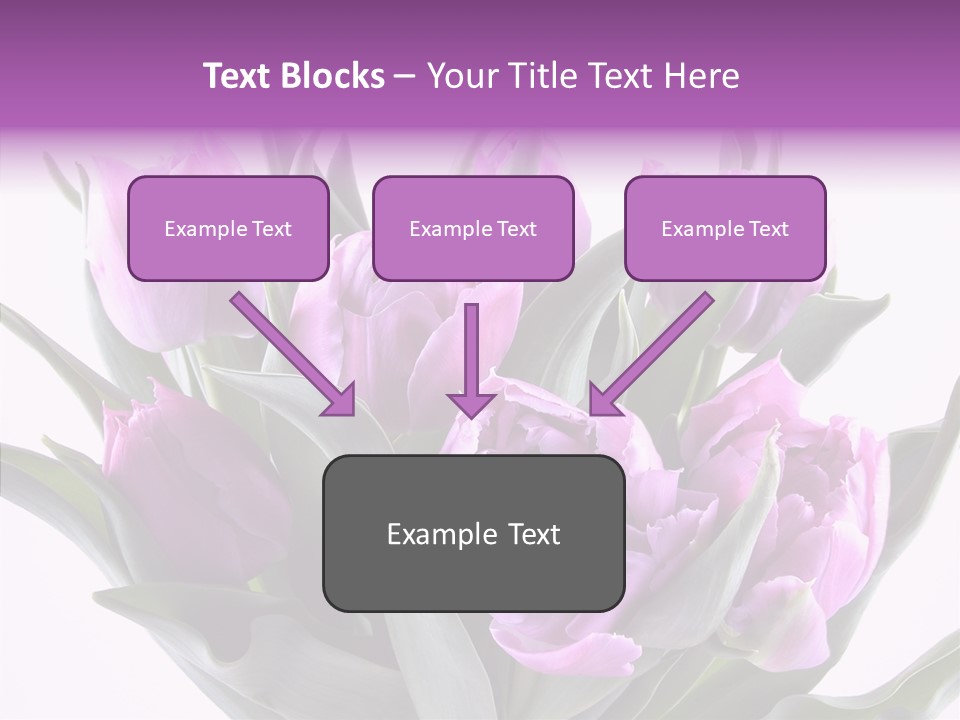 Bloom Beauty Summer PowerPoint Template