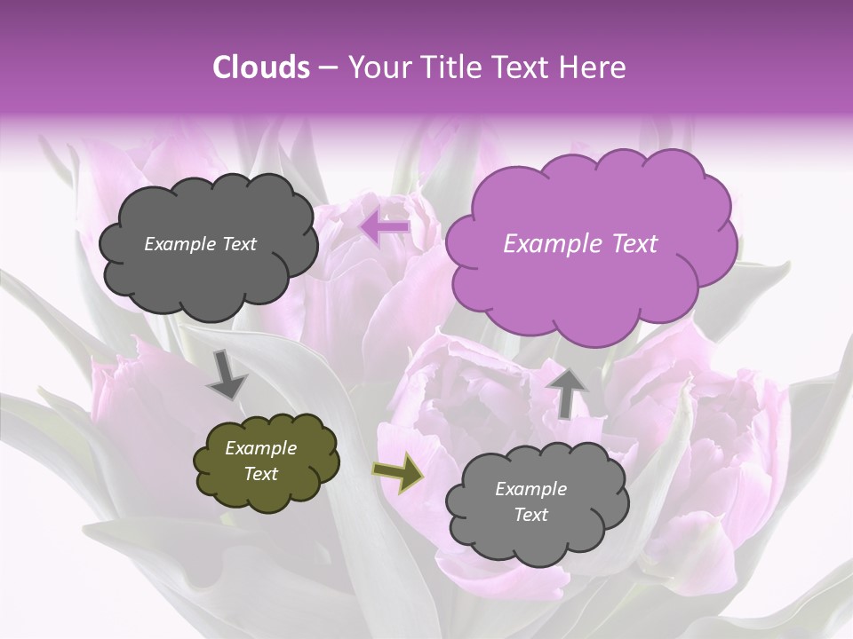 Bloom Beauty Summer PowerPoint Template