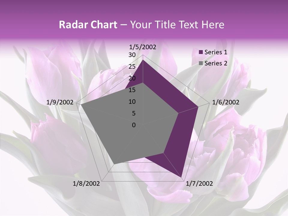 Bloom Beauty Summer PowerPoint Template