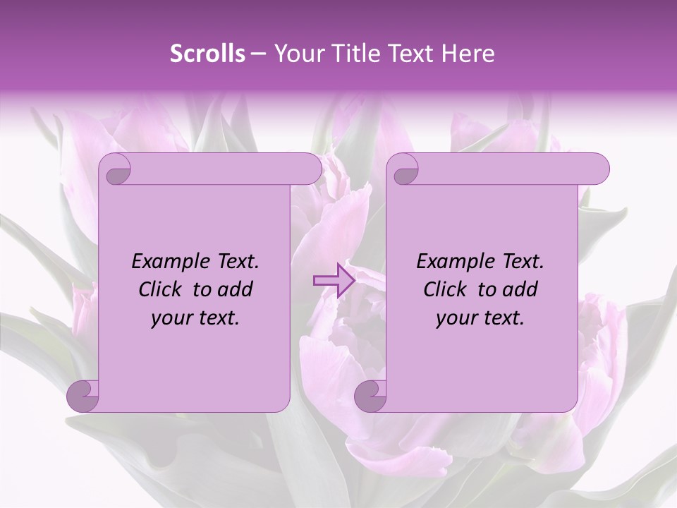 Bloom Beauty Summer PowerPoint Template