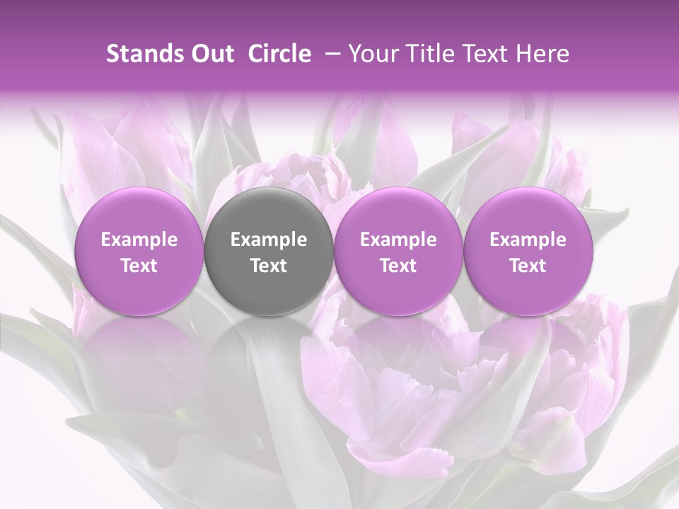 Bloom Beauty Summer PowerPoint Template