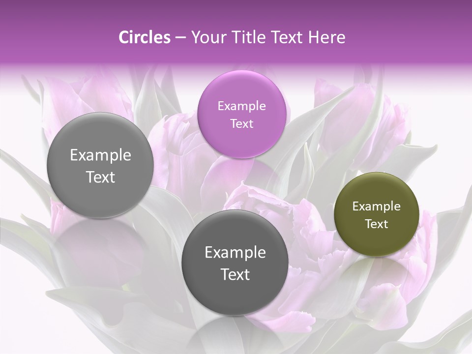 Bloom Beauty Summer PowerPoint Template