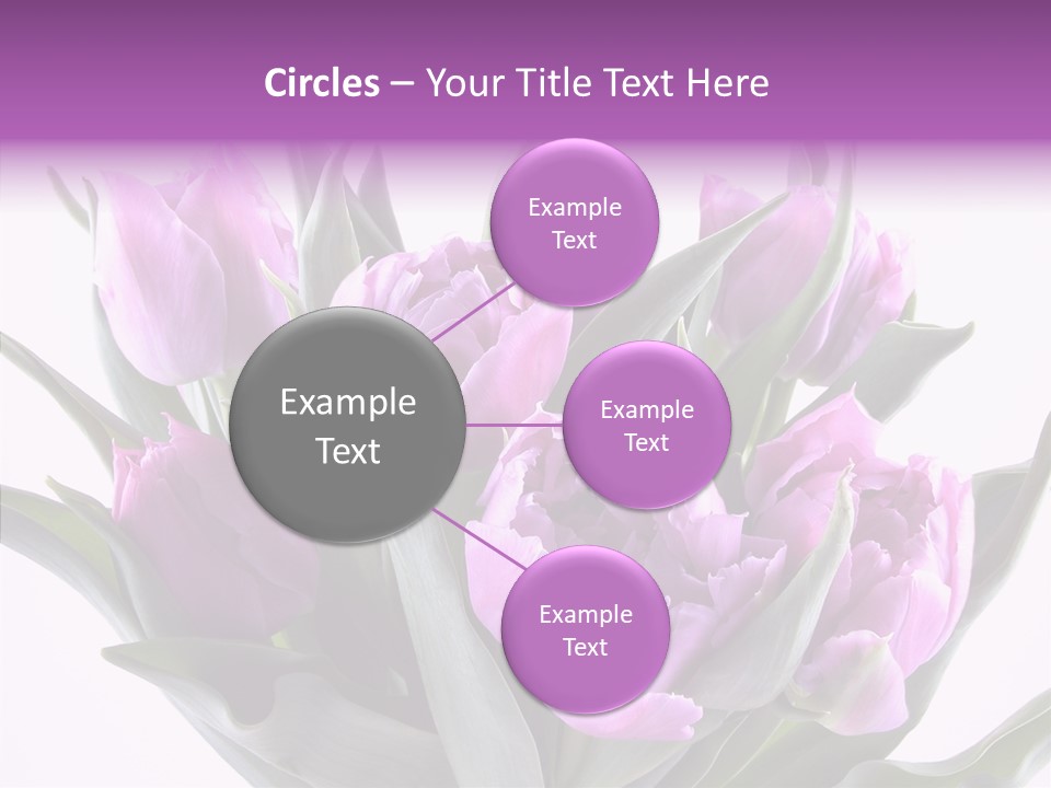 Bloom Beauty Summer PowerPoint Template