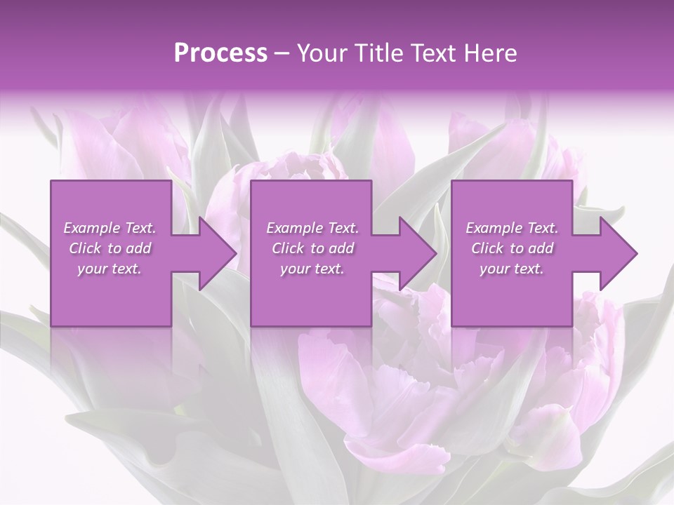 Bloom Beauty Summer PowerPoint Template