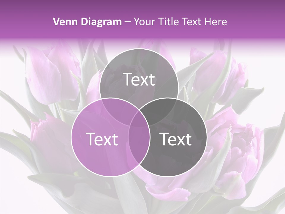 Bloom Beauty Summer PowerPoint Template