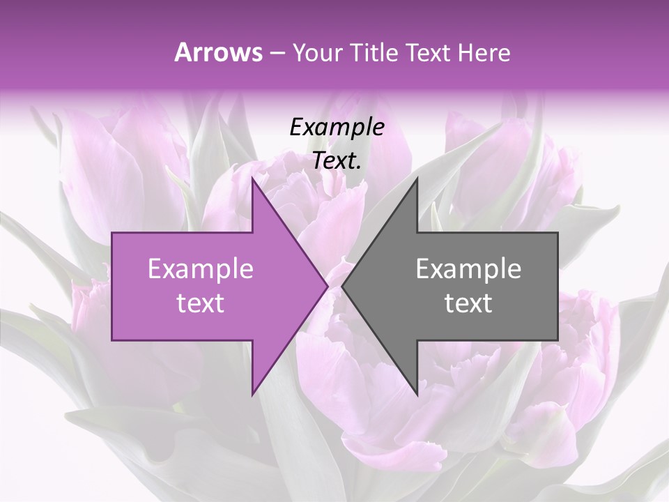 Bloom Beauty Summer PowerPoint Template