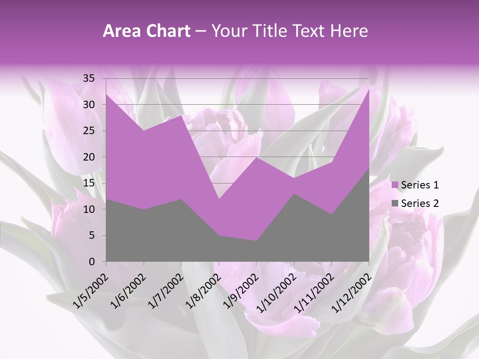 Bloom Beauty Summer PowerPoint Template