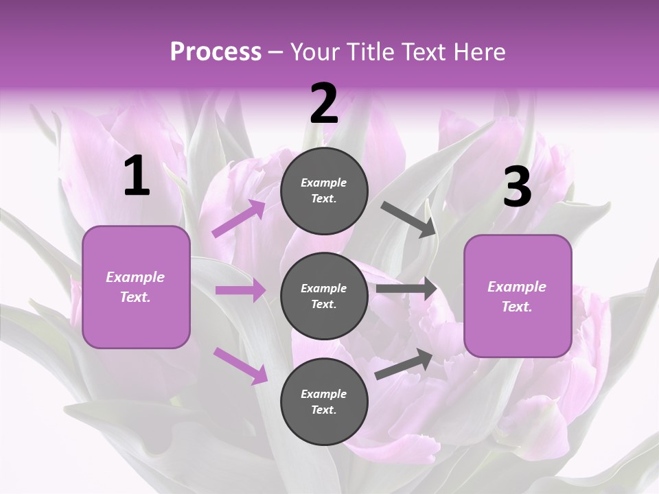 Bloom Beauty Summer PowerPoint Template