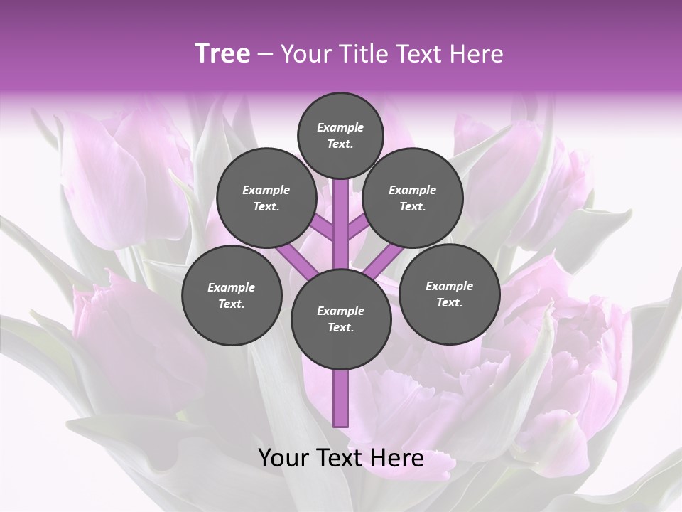 Bloom Beauty Summer PowerPoint Template