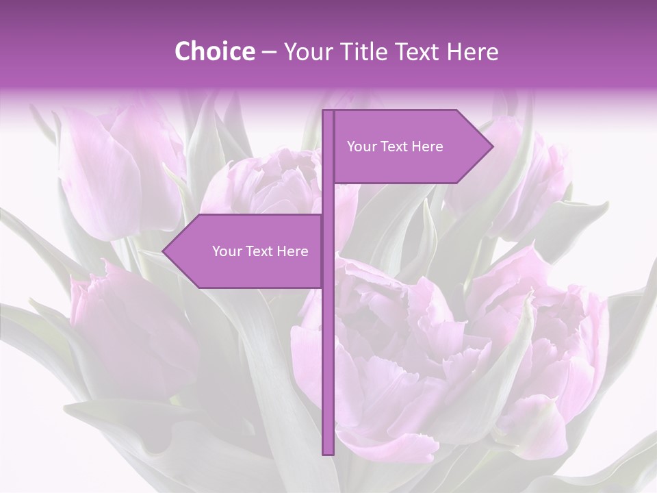 Bloom Beauty Summer PowerPoint Template