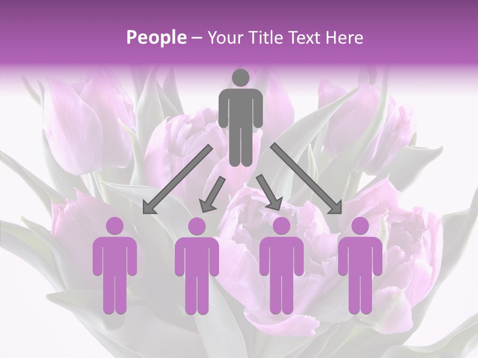 Bloom Beauty Summer PowerPoint Template