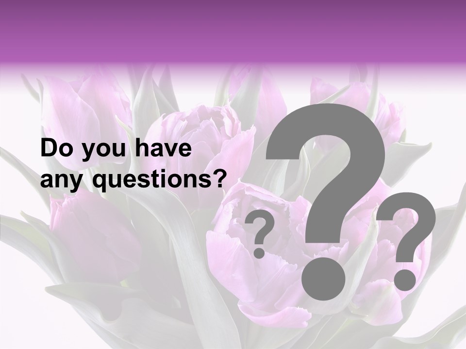 Bloom Beauty Summer PowerPoint Template