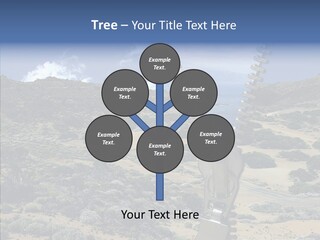Water Zippo Conceptual PowerPoint Template