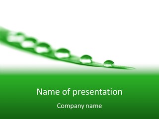 Calm Smooth Nature PowerPoint Template