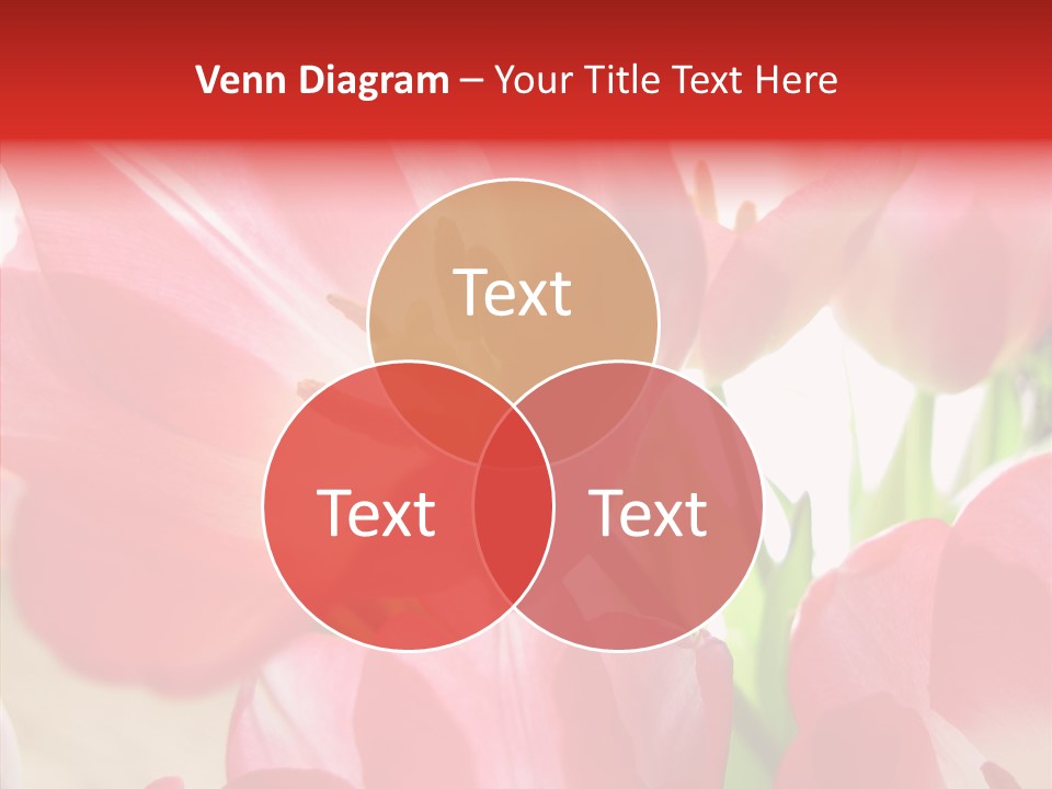 Beautiful Seasonal Arrangement PowerPoint Template