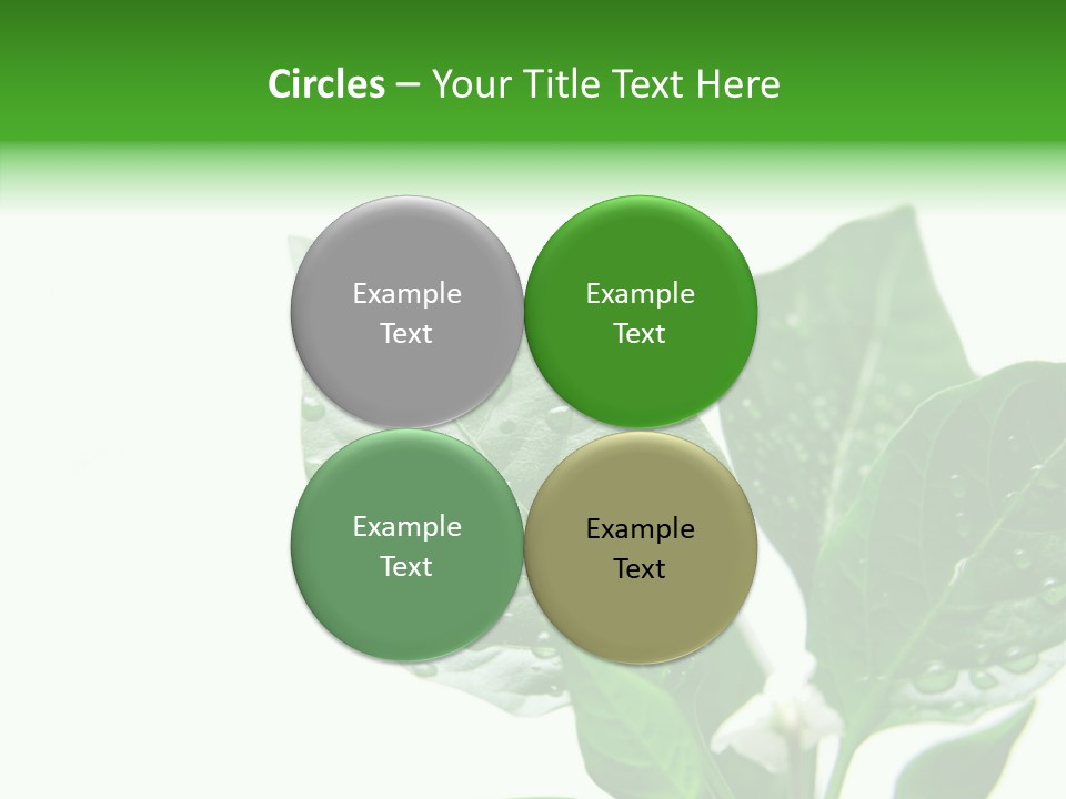 Garden Green Farmland PowerPoint Template