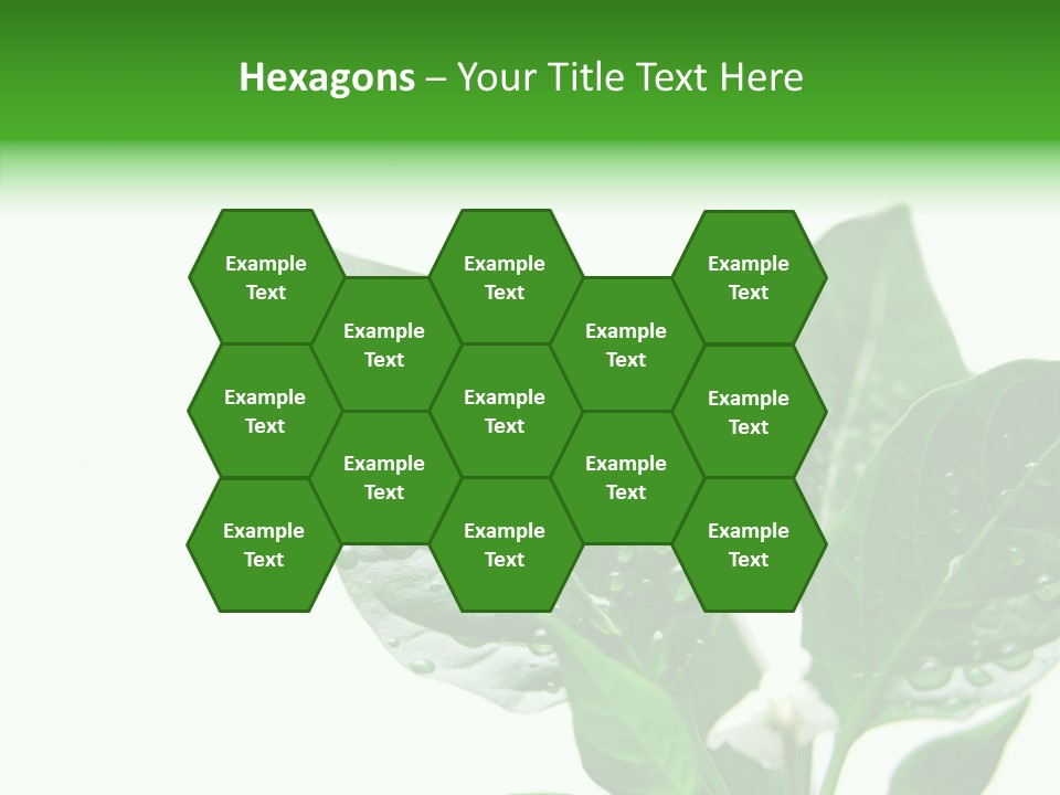 Garden Green Farmland PowerPoint Template