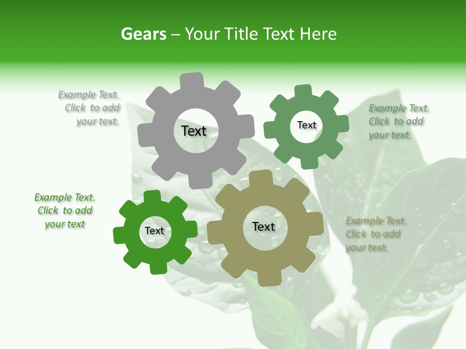 Garden Green Farmland PowerPoint Template