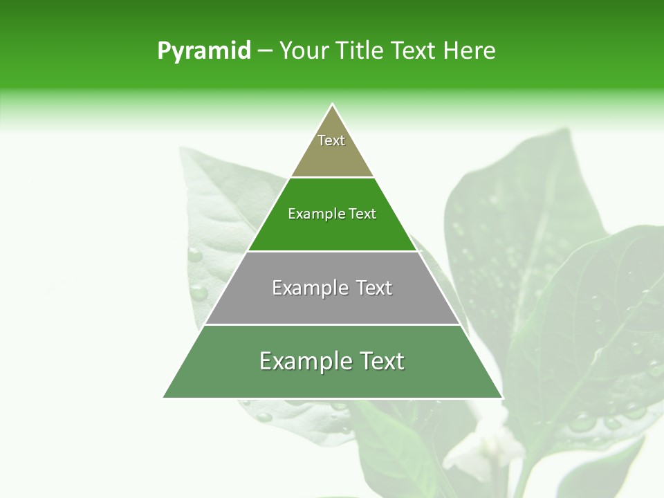 Garden Green Farmland PowerPoint Template