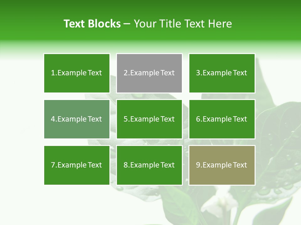 Garden Green Farmland PowerPoint Template