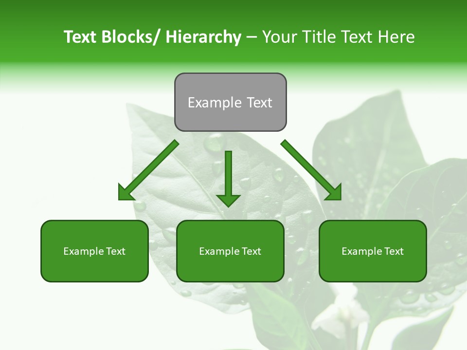 Garden Green Farmland PowerPoint Template