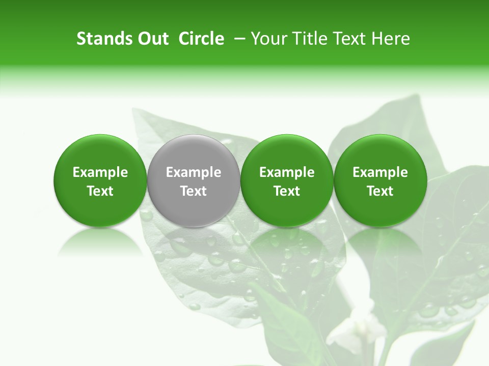 Garden Green Farmland PowerPoint Template