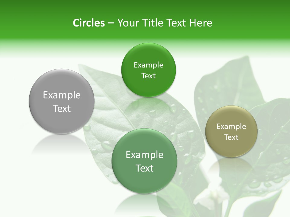 Garden Green Farmland PowerPoint Template