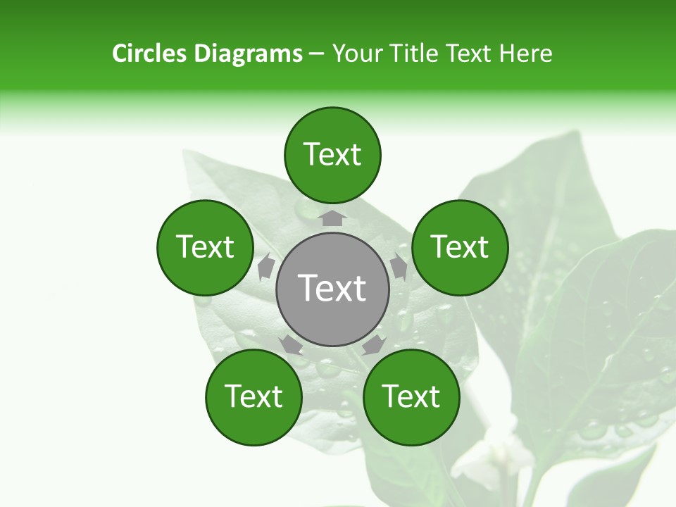 Garden Green Farmland PowerPoint Template