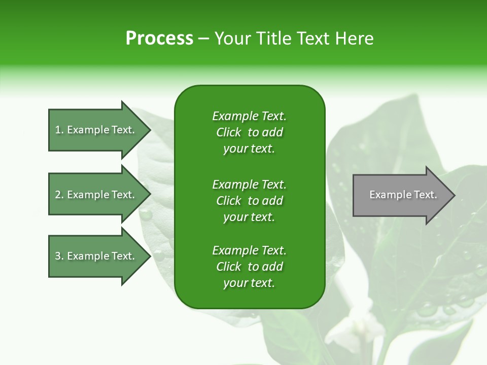 Garden Green Farmland PowerPoint Template