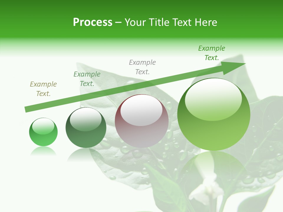 Garden Green Farmland PowerPoint Template
